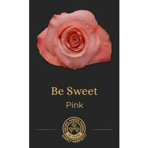 Роза Be Sweet
