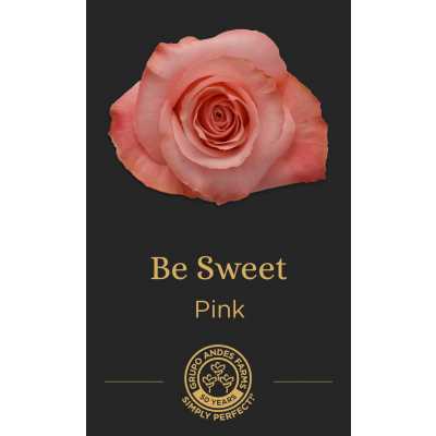 Роза Be Sweet