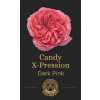 Роза Candy X-Pression