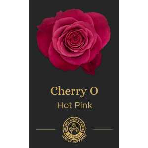 Роза Cherry O