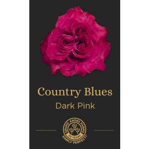 Роза Country Blues