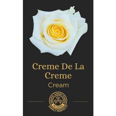 Роза Creme De La Creme
