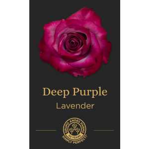 Роза Deep Purple 60 Premium