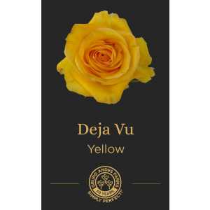 Роза Deja Vu 60 Special