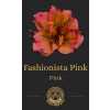 Альстромерия Fashionista Pink