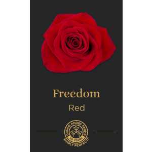Роза Freedom 40 см