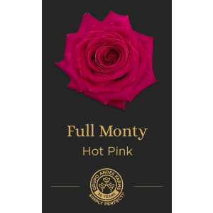 Роза Full Monty