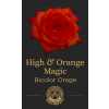 Роза High & Orange Magic