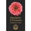 Роза Mandarin X-Pression