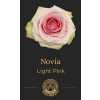 Роза Novia