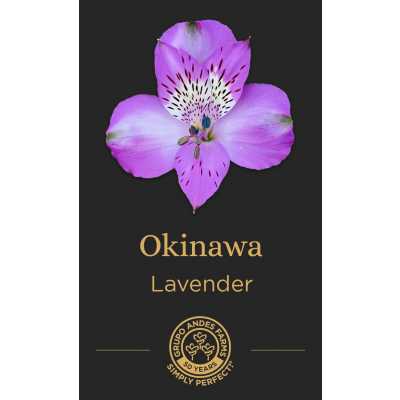 Альстромерия Okinawa