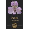 Альстромерия Pacific