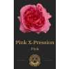Роза Pink X-Pression 60 GARDEN