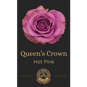 Роза Queens Crown