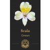 Альстромерия Scala