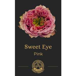 Роза Sweet Eye