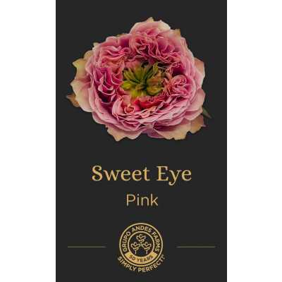 Роза Sweet Eye