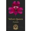 Альстромерия Velvet Queen