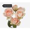 Роза кустовая Xflora Tender Blossoms 