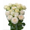 Роза кустовая Pearl Diamond
