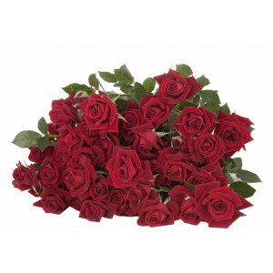 Роза кустовая Rubicon