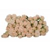 Роза кустовая Roslin