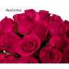 Роза одноголовая Ace Cerise 