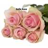 Роза одноголовая Belle Rose 