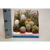 Cactus Mix Showdoos