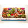 Cactus Versierd Strobloem