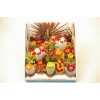 Cactus Versierd Strobloem Showdoos