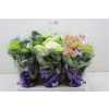 Hydrangea Gemengd 5-7