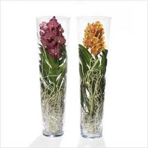 Vanda Mix In Lisanne Glas 90cm