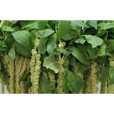 Амарант Ca Green Cord (зелёный Корд)