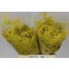 Asparagus 1e Veren Yellow