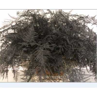 Asparagus Lang Getopt Black