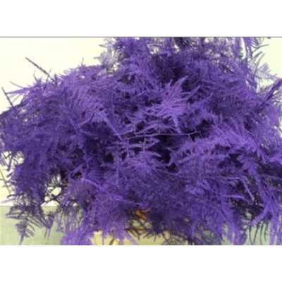Asparagus Lang Getopt Purple