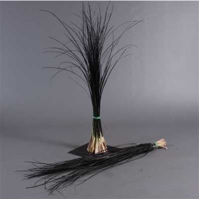 Beregras Black
