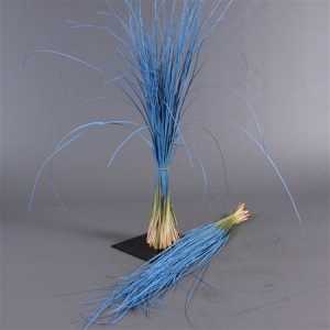 Beregras Blue Glitter
