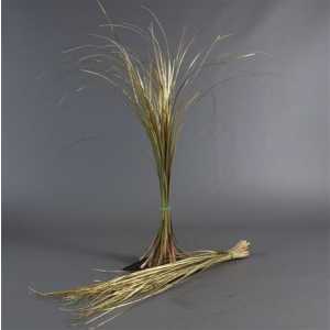 Beregras Gold