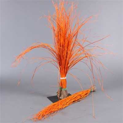 Beregras Orange