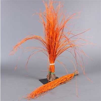 Beregras Orange Glitter