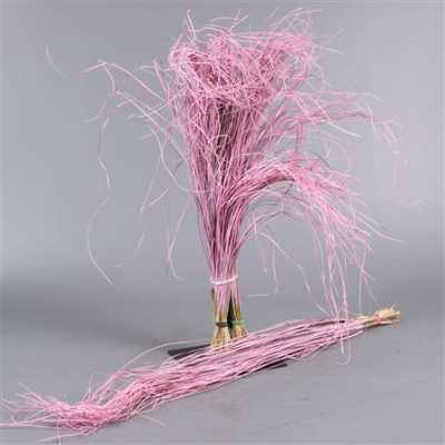 Beregras Pink