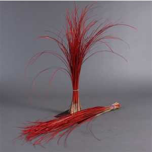 Beregras Red