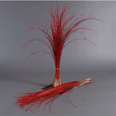 Beregras Red