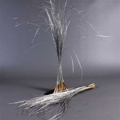 Beregras Silver