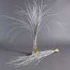 Beregras White