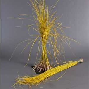 Beregras Yellow