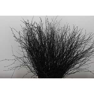 Berk Black