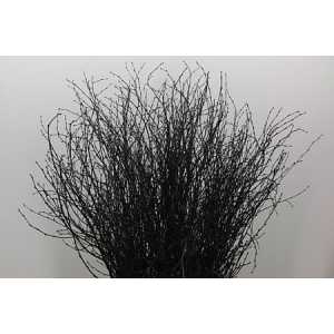 Berk Black Glitter